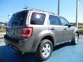 Sterling Gray Metallic - Escape XLT Photo No. 3