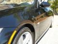 2009 Jet Black BMW 3 Series 335i Convertible  photo #17