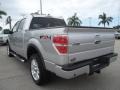 2010 Ingot Silver Metallic Ford F150 FX4 SuperCrew 4x4  photo #9