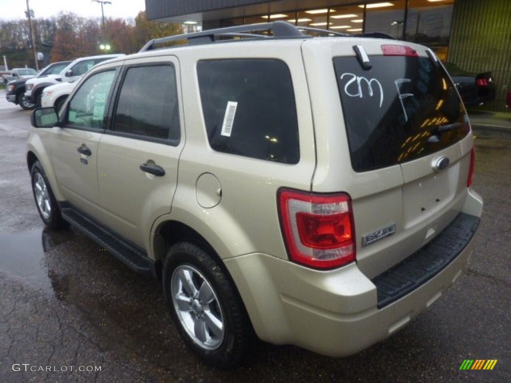 2012 Escape XLT 4WD - Gold Leaf Metallic / Camel photo #2