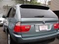 2002 Gray Green Metallic BMW X5 4.4i  photo #4