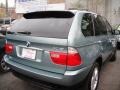 2002 Gray Green Metallic BMW X5 4.4i  photo #5