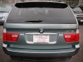 Gray Green Metallic - X5 4.4i Photo No. 6