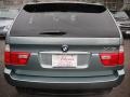 2002 Gray Green Metallic BMW X5 4.4i  photo #6