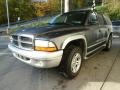 Graphite Metallic - Durango SLT 4x4 Photo No. 5