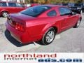 2005 Redfire Metallic Ford Mustang V6 Premium Coupe  photo #8