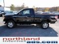 Ebony Black - F150 XLT Regular Cab 4x4 Photo No. 6