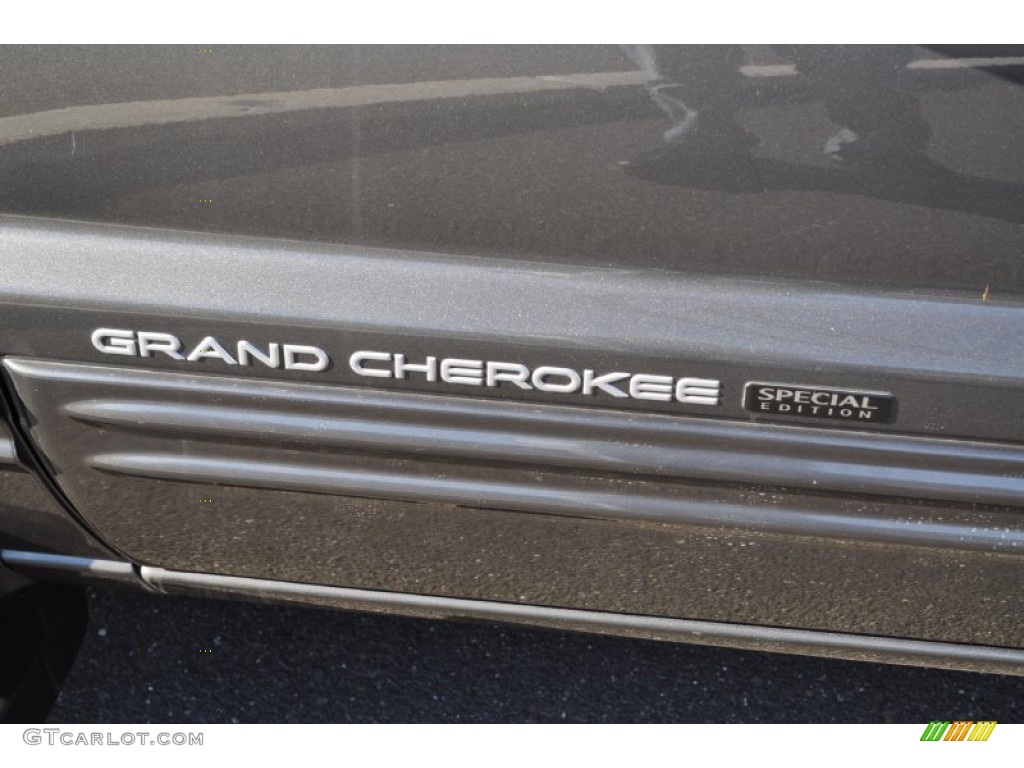 2004 Grand Cherokee Special Edition 4x4 - Graphite Metallic / Dark Slate Gray photo #22
