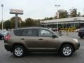 Pyrite Mica - RAV4 4WD Photo No. 1