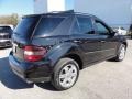 Obsidian Black Metallic - ML 350 4Matic Photo No. 8