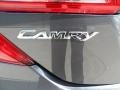 Magnetic Gray Metallic - Camry LE Photo No. 15