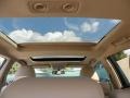 Blizzard Pearl White - Venza V6 Photo No. 21