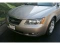 Golden Beige - Sonata GLS V6 Photo No. 21