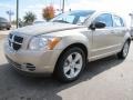 Light Sandstone Metallic - Caliber SXT Photo No. 1
