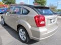 Light Sandstone Metallic - Caliber SXT Photo No. 2