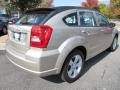 Light Sandstone Metallic - Caliber SXT Photo No. 3