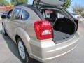 Light Sandstone Metallic - Caliber SXT Photo No. 9
