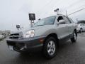 Pewter - Santa Fe GLS 4WD Photo No. 1