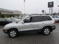 Pewter - Santa Fe GLS 4WD Photo No. 4