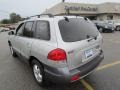 Pewter - Santa Fe GLS 4WD Photo No. 5