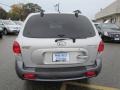 Pewter - Santa Fe GLS 4WD Photo No. 6