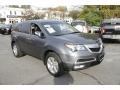 Polished Metal Metallic - MDX  Photo No. 3