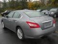 Precision Gray Metallic - Maxima 3.5 S Photo No. 14