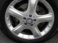 Arctic White - ML 350 4Matic Photo No. 33