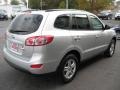 Moonstone Silver - Santa Fe GLS AWD Photo No. 6