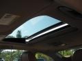 Saddle Brown/Black Sunroof Photo for 2008 BMW 3 Series #55777962