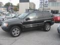 Brillant Black Crystal Pearl - Grand Cherokee Limited 4x4 Photo No. 9