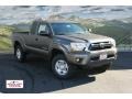 Pyrite Mica - Tacoma V6 SR5 Access Cab 4x4 Photo No. 1