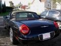 Evening Black - Thunderbird Premium Roadster Photo No. 5
