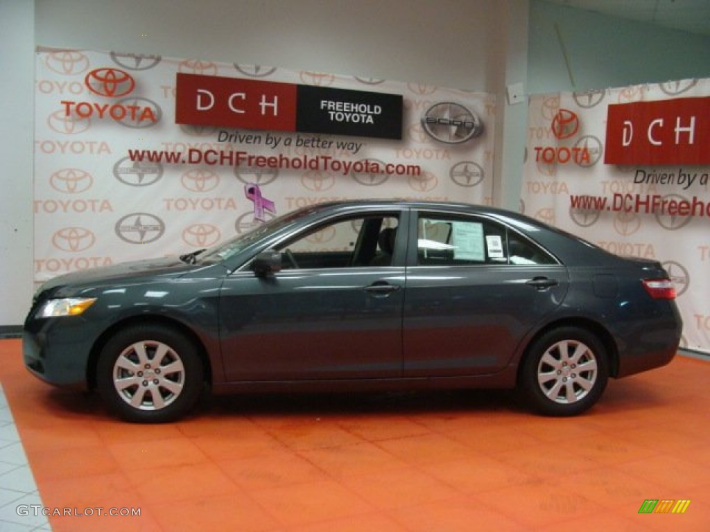 2009 Camry XLE - Magnetic Gray Metallic / Ash photo #4