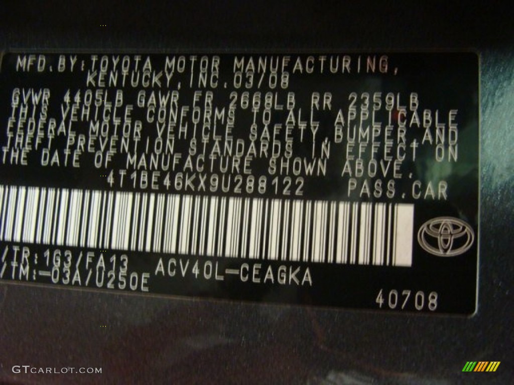 2009 Camry XLE - Magnetic Gray Metallic / Ash photo #13