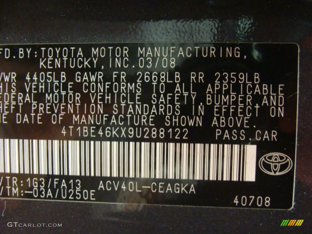 2009 Camry XLE - Magnetic Gray Metallic / Ash photo #15