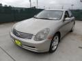 Brilliant Silver Metallic - G 35 Sedan Photo No. 7