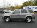 2007 Tungsten Grey Metallic Ford Escape Limited 4WD  photo #13