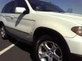 Alpine White - X5 3.0i Photo No. 20