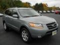 Steel Gray - Santa Fe Limited 4WD Photo No. 14
