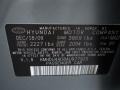 Carbon Gray Mist - Elantra GLS Photo No. 20