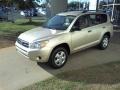 Savannah Metallic - RAV4 I4 Photo No. 18