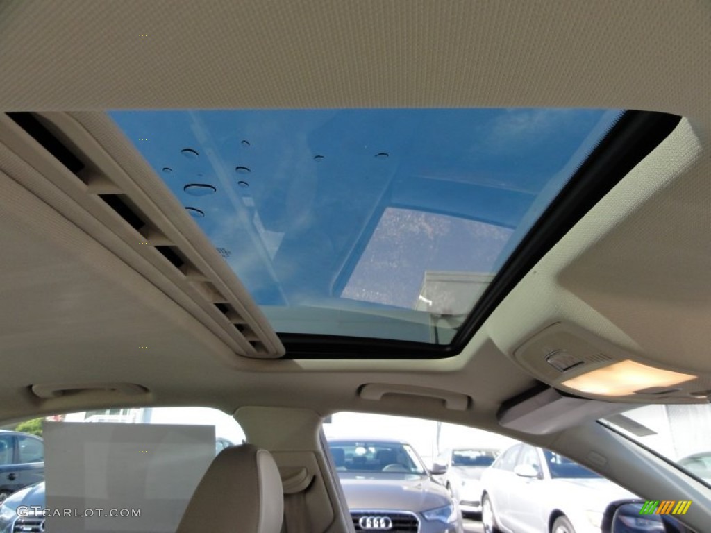 2009 Audi A4 2.0T Premium quattro Sedan Sunroof Photo #55804130