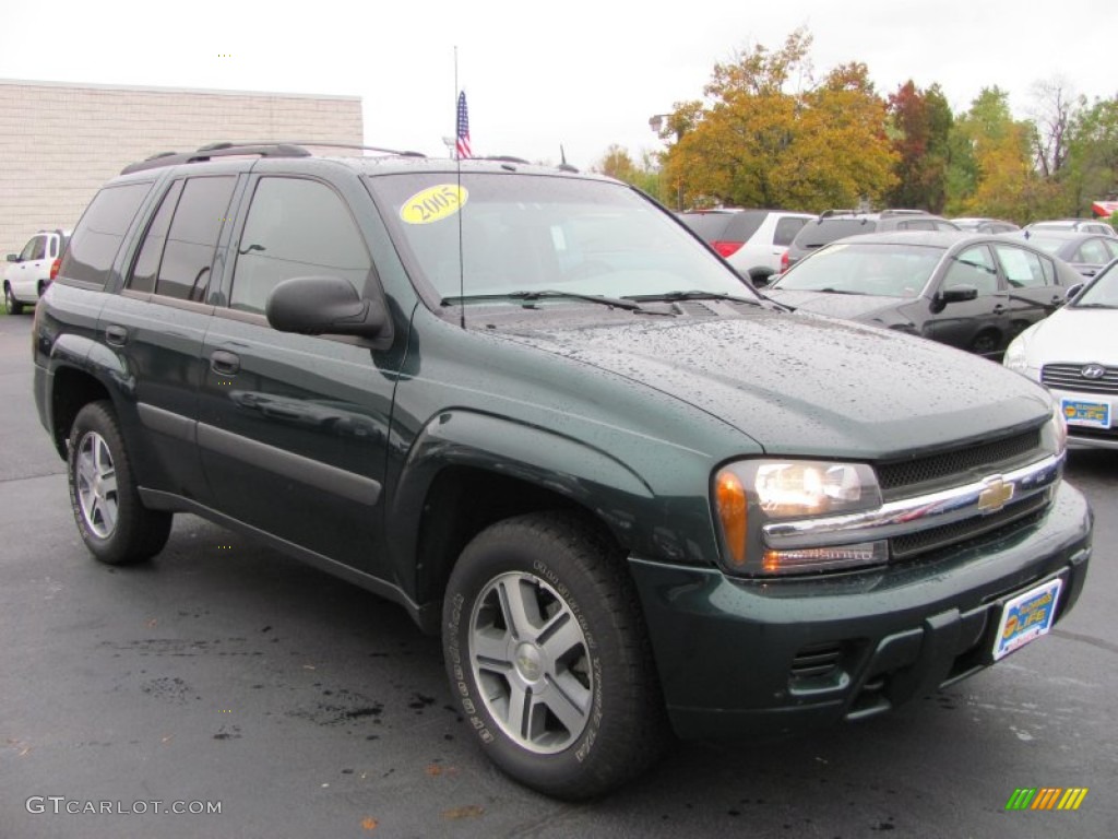 2005 TrailBlazer LS 4x4 - Emerald Jewel Green Metallic / Light Gray photo #20