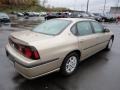 Sandstone Metallic - Impala  Photo No. 6