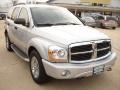 2005 Bright Silver Metallic Dodge Durango Limited 4x4  photo #3