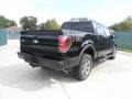 2011 Ebony Black Ford F150 FX4 SuperCrew 4x4  photo #3