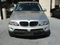Titanium Silver Metallic - X5 3.0i Photo No. 5