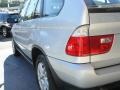 Titanium Silver Metallic - X5 3.0i Photo No. 9