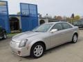 Light Platinum - CTS Sedan Photo No. 1
